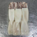 Todarodes Pacificus Squid Products Frozen Squid Products Todarodes Pacificus T+T Supplier